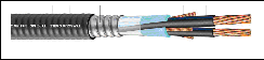 Type MC Power Cable